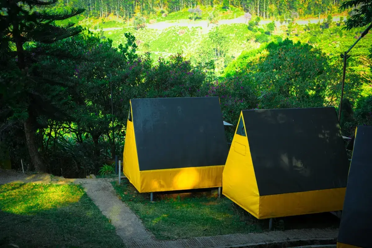 Glamping vs Tent Camping in Munnar