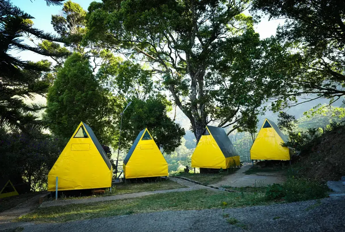 Koodaram Delight Plus